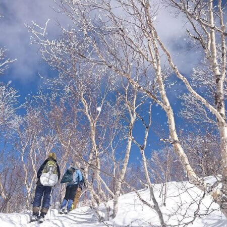 キャンプグランド　グリーンパークの場内の写真