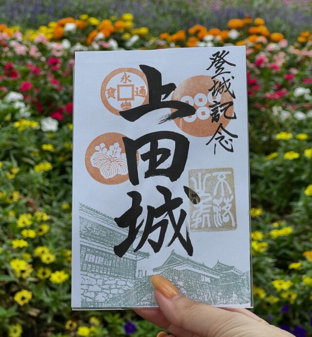 .
🍇御城印 2025秋バージョンが登場🍇

上田城の御城印は四季でデザインが変わるのが特徴です💡
しかも毎年異なるデザインです✨

すべて手書き、手押し✍️

城前の上田市観光会館2階と、城内の眞田神社で1枚300円で販売中です😊

上田市もまだ暑い日が続いています💦

お身体に気をつけてお出かけください❣️

#長野県 #長野県上田市 #信州上田 #上田市 #上田 #信州 #城 #城巡り #百名城 #歴史好き #御城印 #御城印集め #日本百名城 #歴史好き #Nagano #ueda #秋の御城印  #眞田神社 #上田城 #上田城跡公園